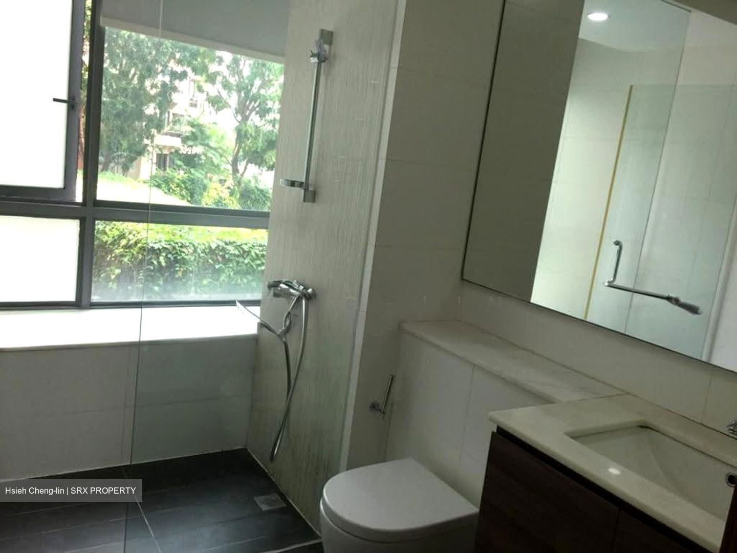 Double Bay Residences (D18), Condominium #613303921